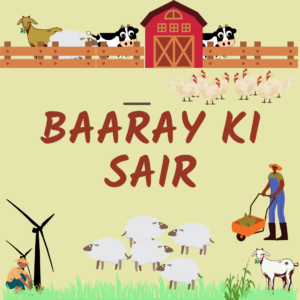 Visit to the Farm - Urdu printable game (a more fun version of worksheet)